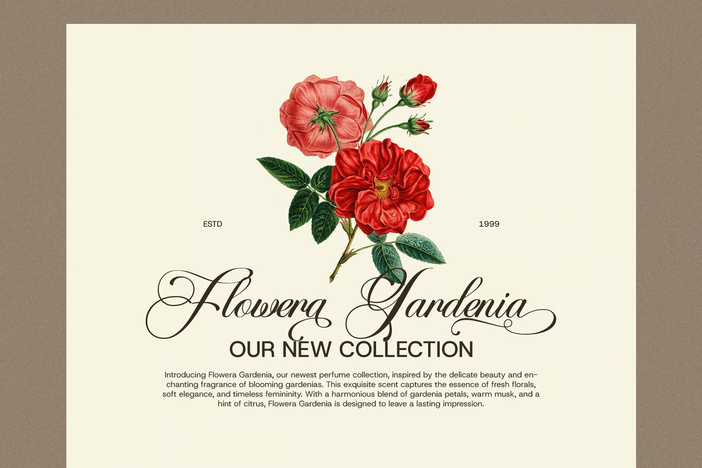 Image [2] - Bathsaida - Calligraphy Script Fonts - Photon Flux | Professional WordPress repair service, worldwide, fast response!