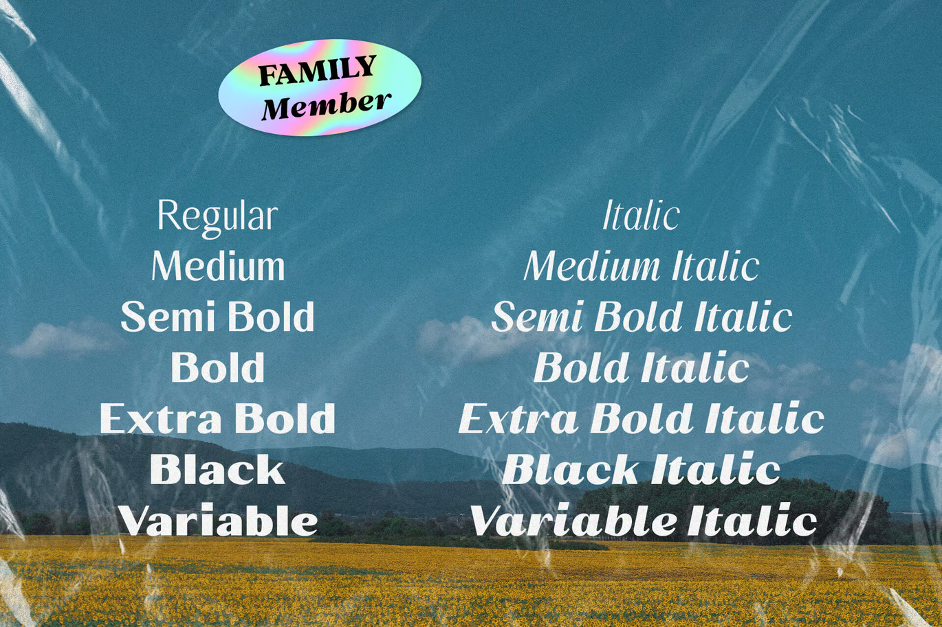 图片[2]-Behind The Nineties Sans – 80年代90年代怀旧衬线字体-光子波动网 | 专业WordPress修复服务，全球范围，快速响应