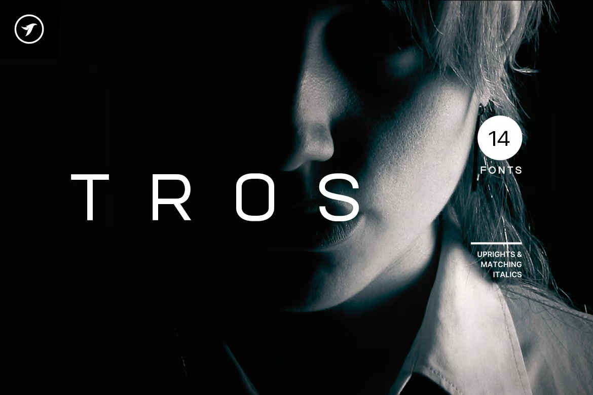 TROS - Unique Modern Display Font Family - Photon Flux Network | Professional WordPress repair service, worldwide, fast response