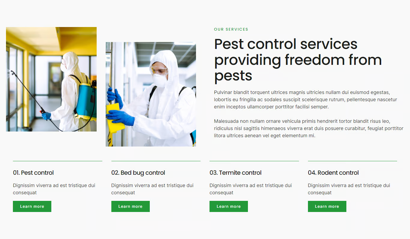 图片[2]-Cocopest – 害虫控制服务 Elementor 模板包-光子波动网 | 专业WordPress修复服务，全球范围，快速响应