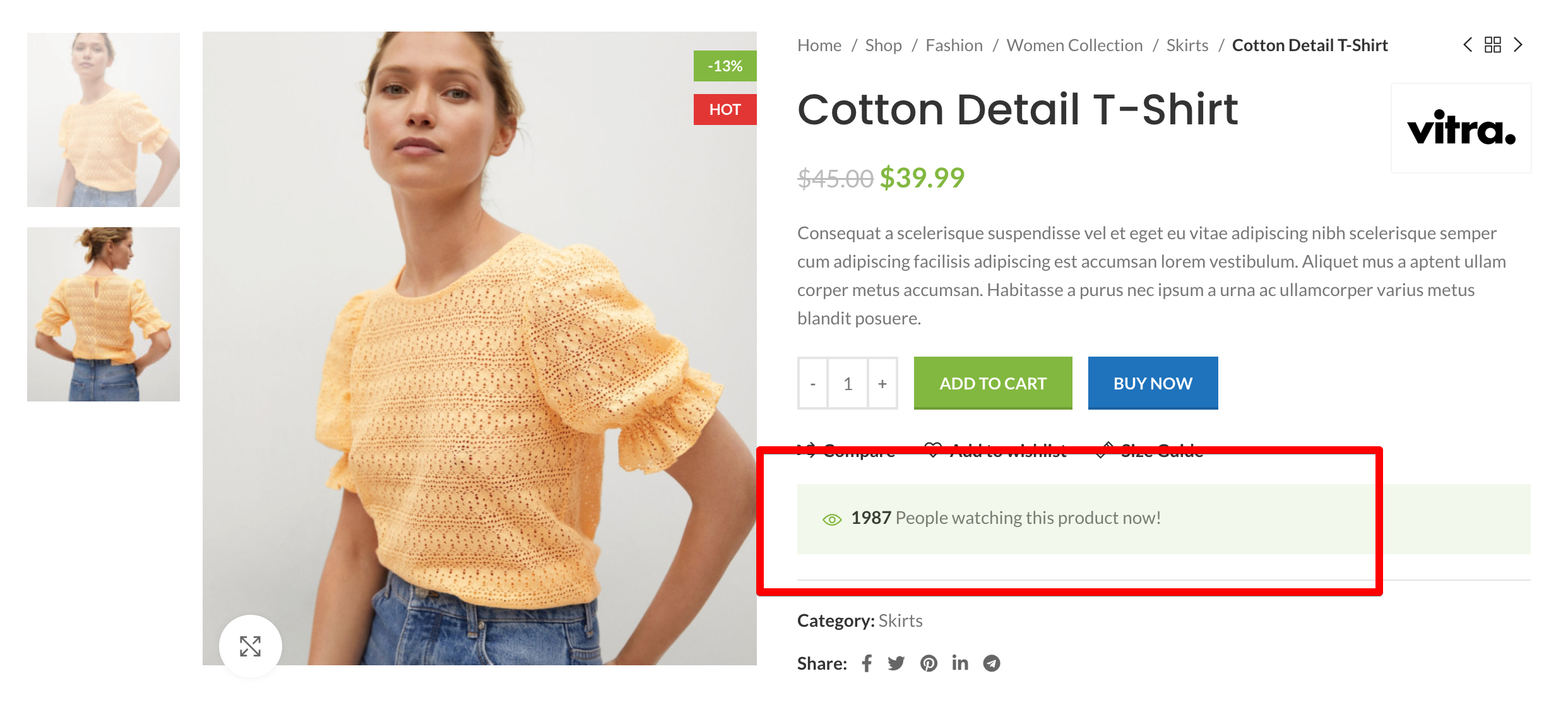 Imagen [2] - Una completa introducción a las tres principales mejoras del tema WoodMart: recuento de visitantes, recuento de ventas y barra de progreso del inventario.