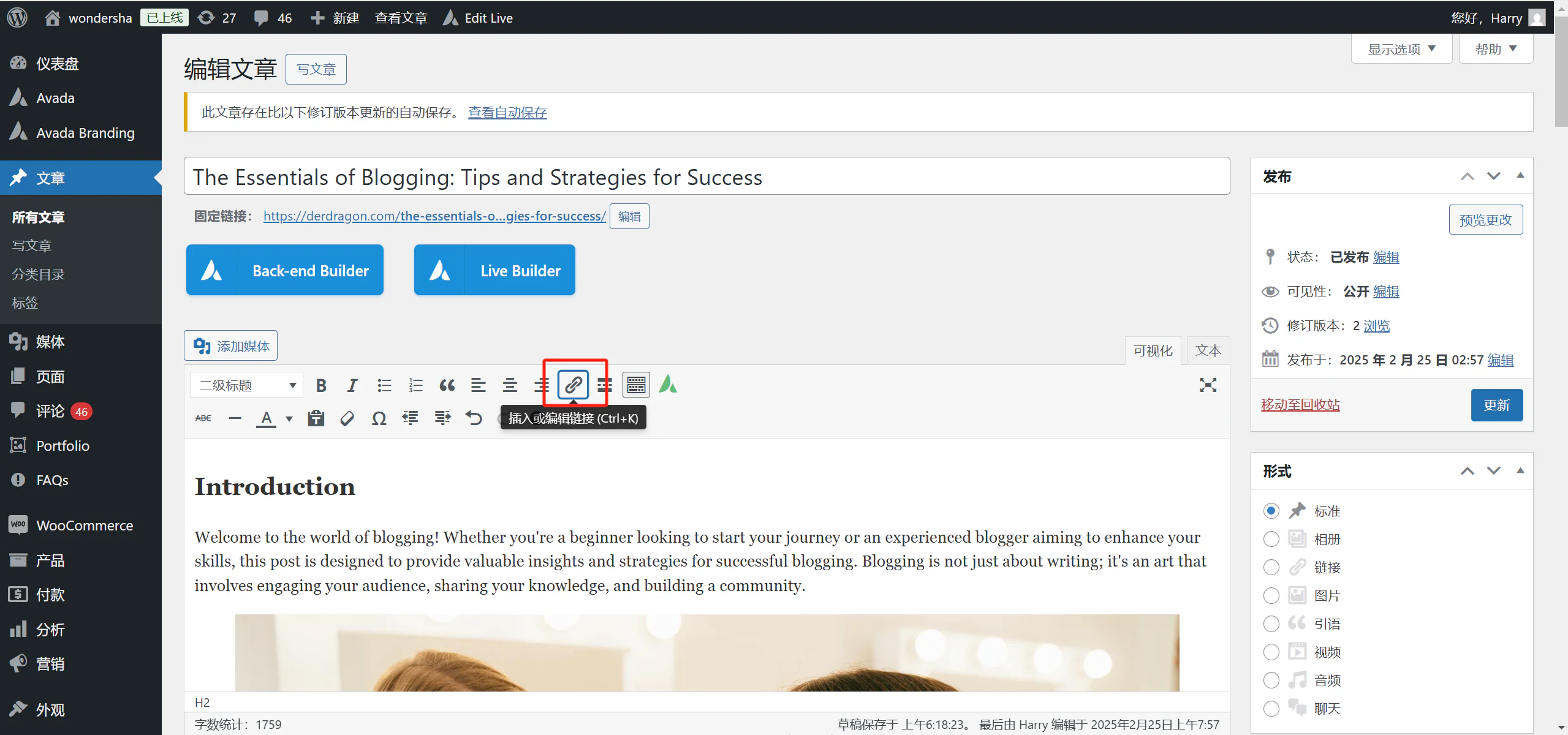 图片[8]-2025年必学：如何通过Avada主题优化你的SEO表现-光子波动网 | 专业WordPress修复服务，全球范围，快速响应