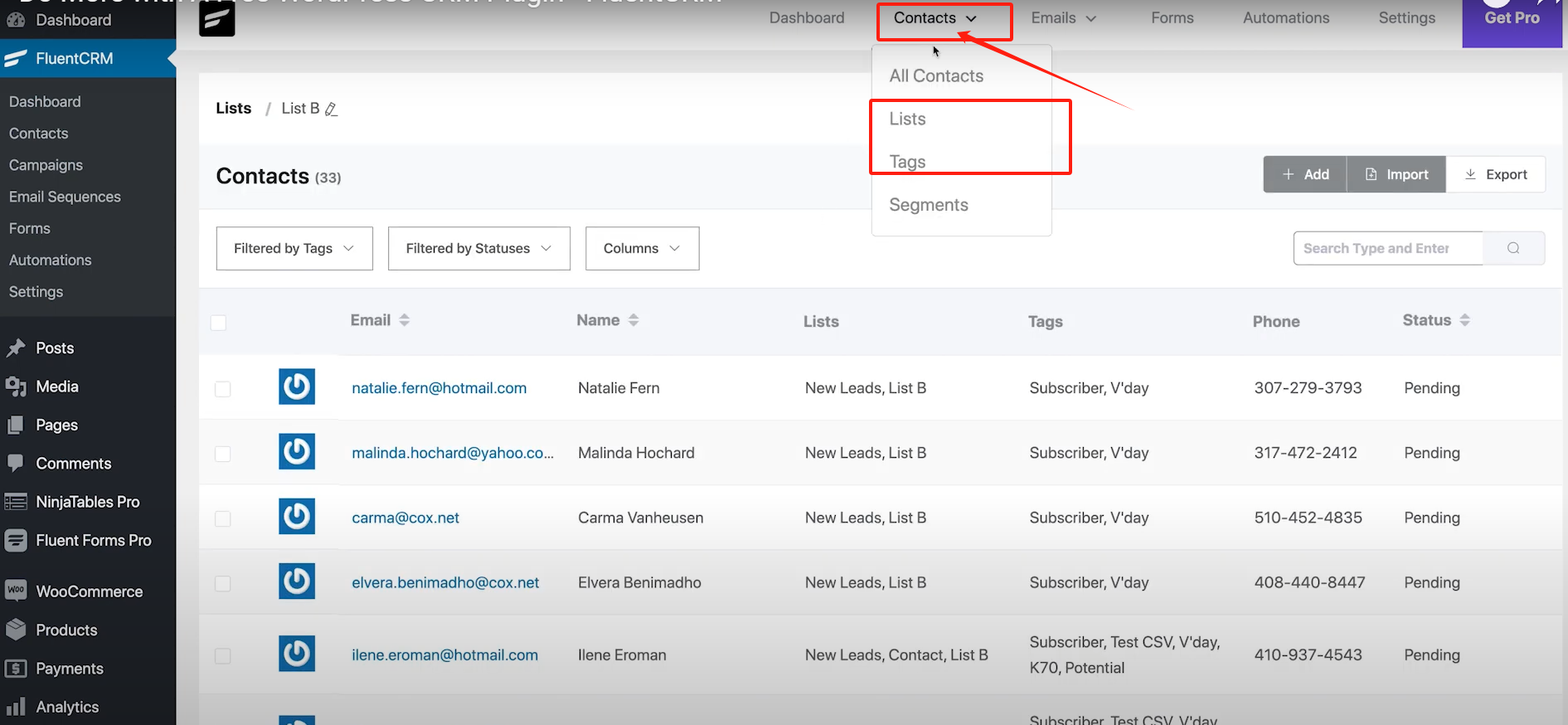 Image [8]-FluentCRM Free Edition Features Explained : How to Make the Most of Free CRM Plugins for Marketing Automation (en anglais)