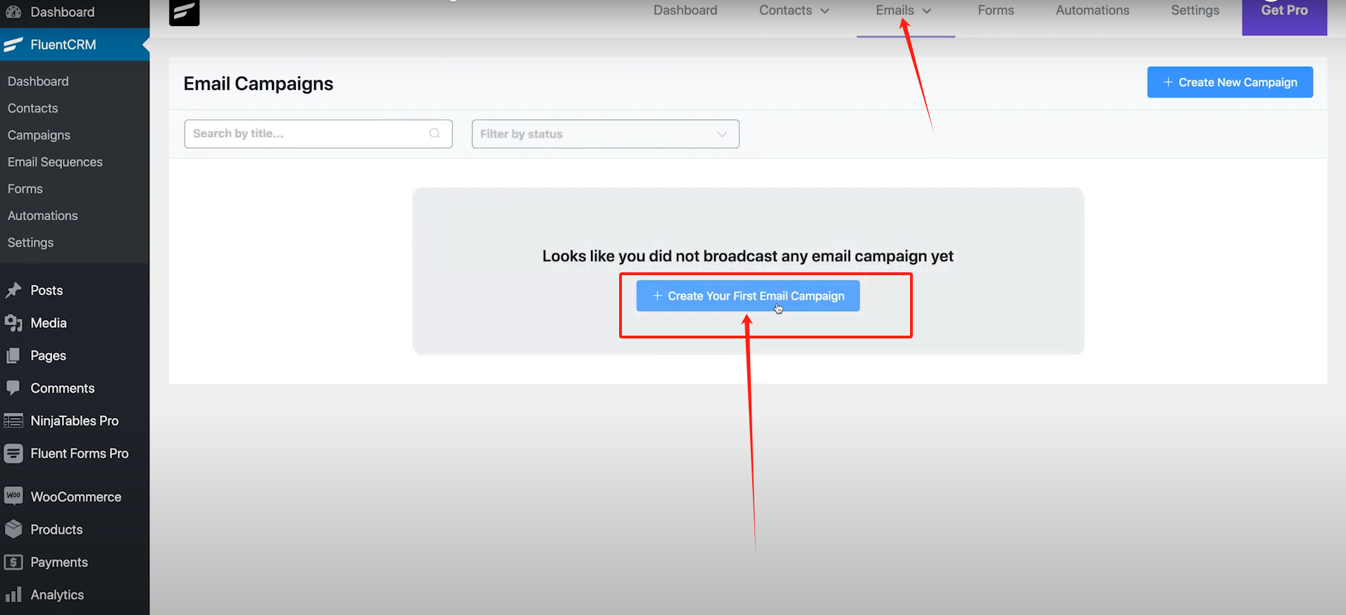 Image [11]-FluentCRM Free Edition Features Explained : How to Make the Most of Free CRM Plugins for Marketing Automation (en anglais)