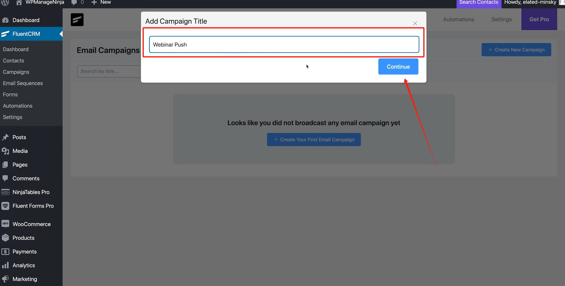 Image [12]-FluentCRM Free Edition Features Explained : How to Make the Most of Free CRM Plugins for Marketing Automation (en anglais)