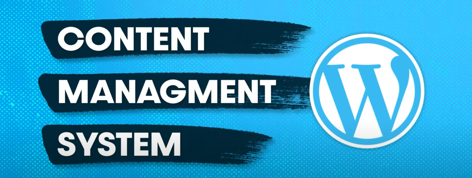 图片[1]-什么是 WordPress？为什么数百万人用它来搭建网站？