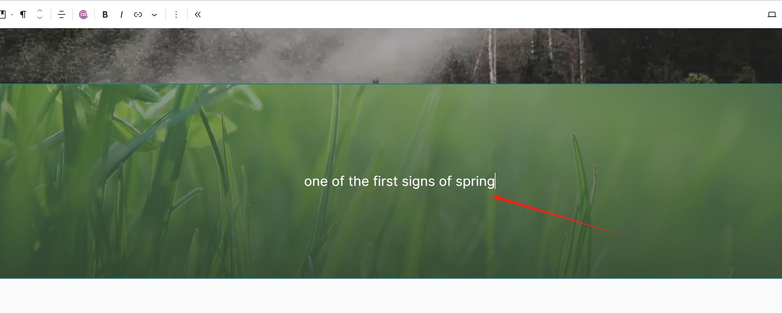 Imagen [5] - ¿Cómo añadir banners en WordPress? 4 maneras fáciles