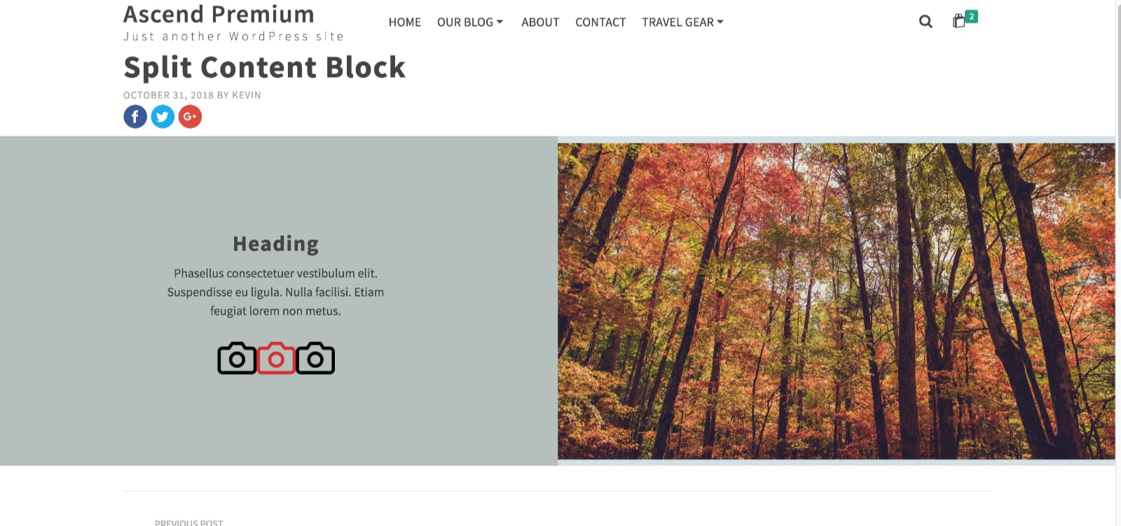 图片[11]-Kadence Blocks 教程：制作图文分栏与叠加布局