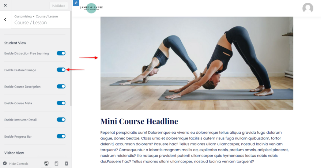 图片[9]-Astra Pro 搭配 LifterLMS 打造专业 WordPress 在线课程平台