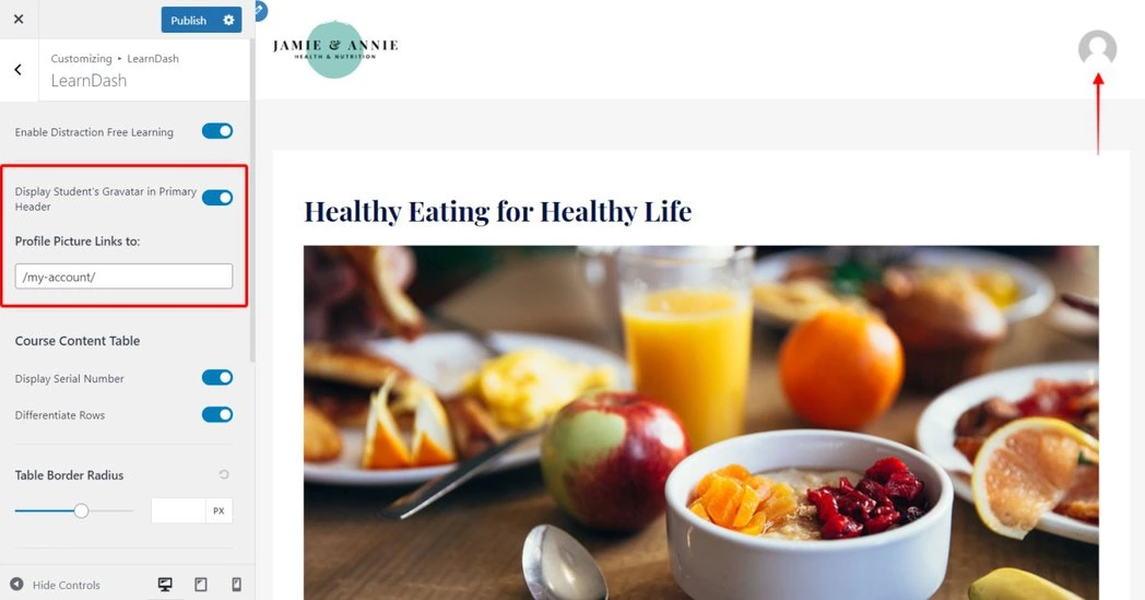 Image [13]- Thème gratuit Astra avec intégration de LearnDash : Créer rapidement des pages de cours en ligne professionnelles