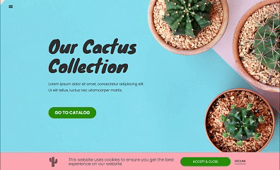 图片[14]-不想违规又不想麻烦？这招教你用 Elementor 弹窗搞定 Cookie 提示