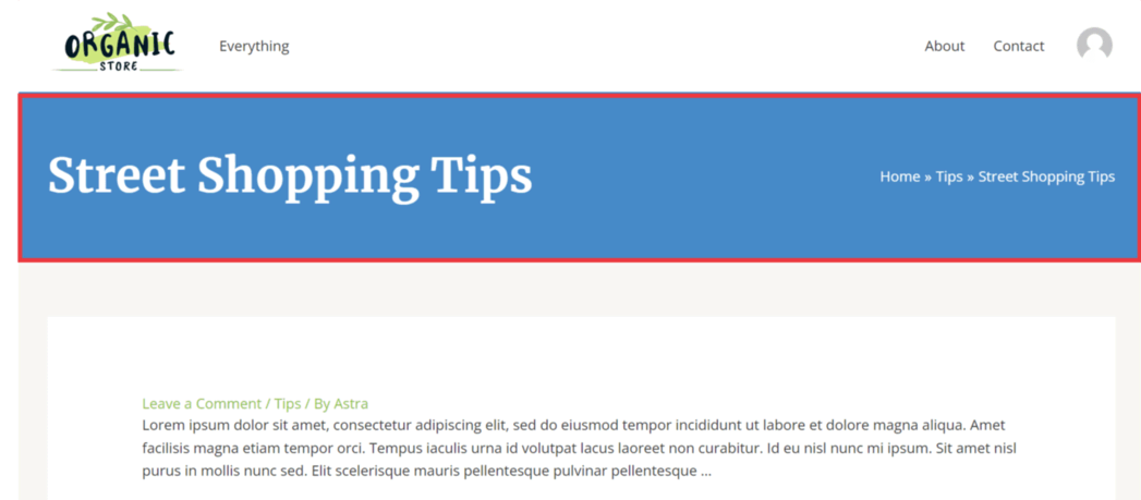 画像[8]-Astra Proページヘッダーモジュールの説明：パーソナライズされたページヘッダーエリアの作成