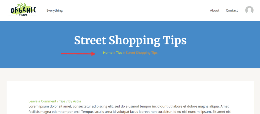 画像[11]-Astra Proページヘッダーモジュールの説明：パーソナライズされたページヘッダーエリアの作成