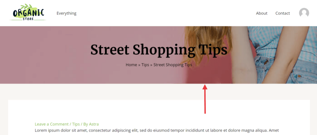 画像[17]-Astra Proページヘッダーモジュールの説明：パーソナライズされたページヘッダーエリアの作成