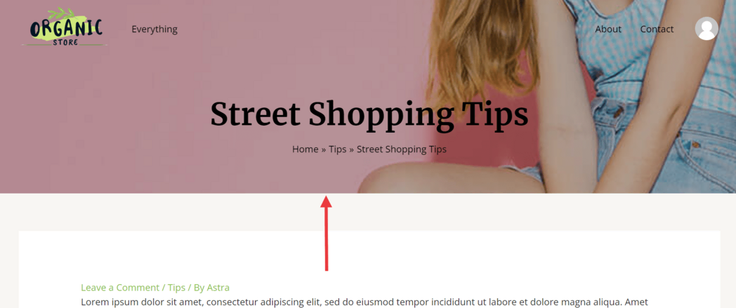 画像[19]-Astra Proページヘッダーモジュールの説明：パーソナライズされたページヘッダーエリアの作成
