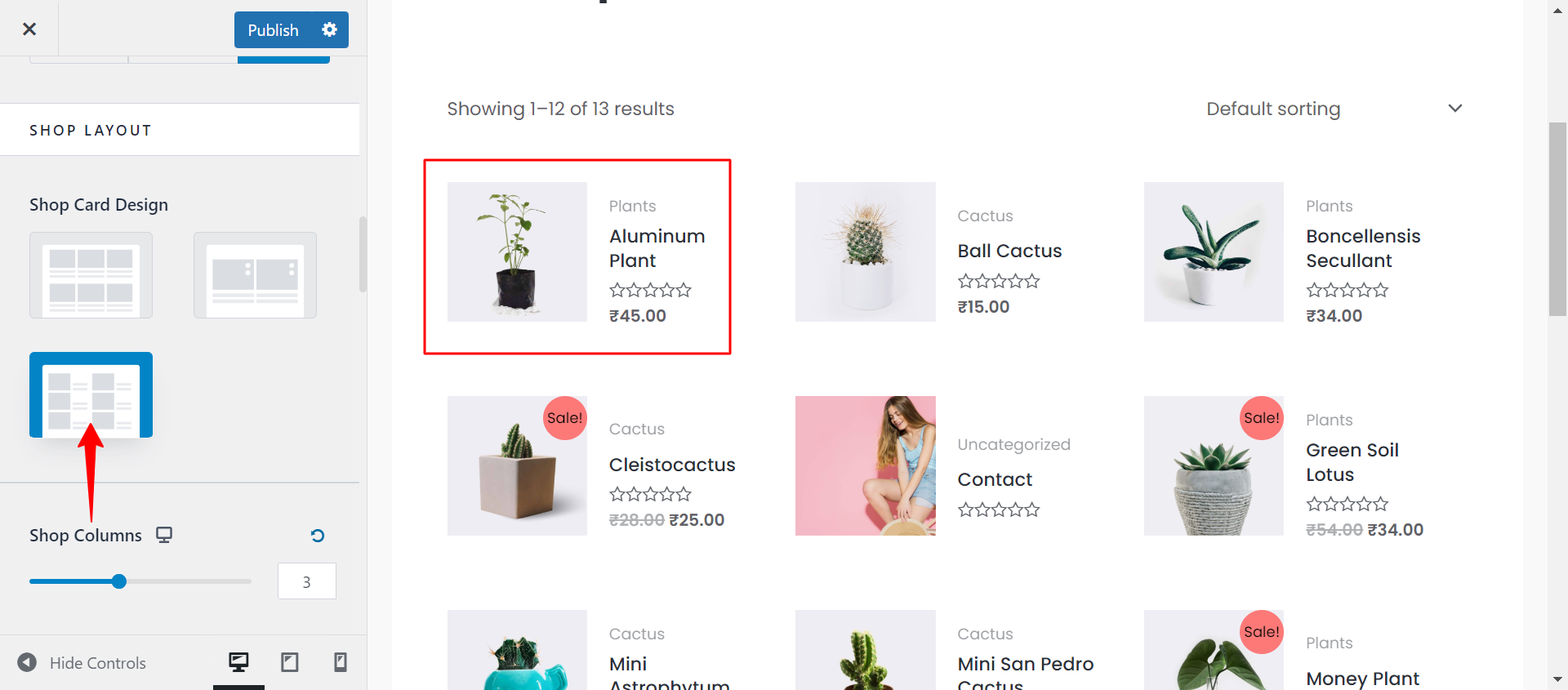 Imagen [9]-Astra WooCommerce Module Complete Setup Guide: Creating Efficient and Beautiful Store Pages