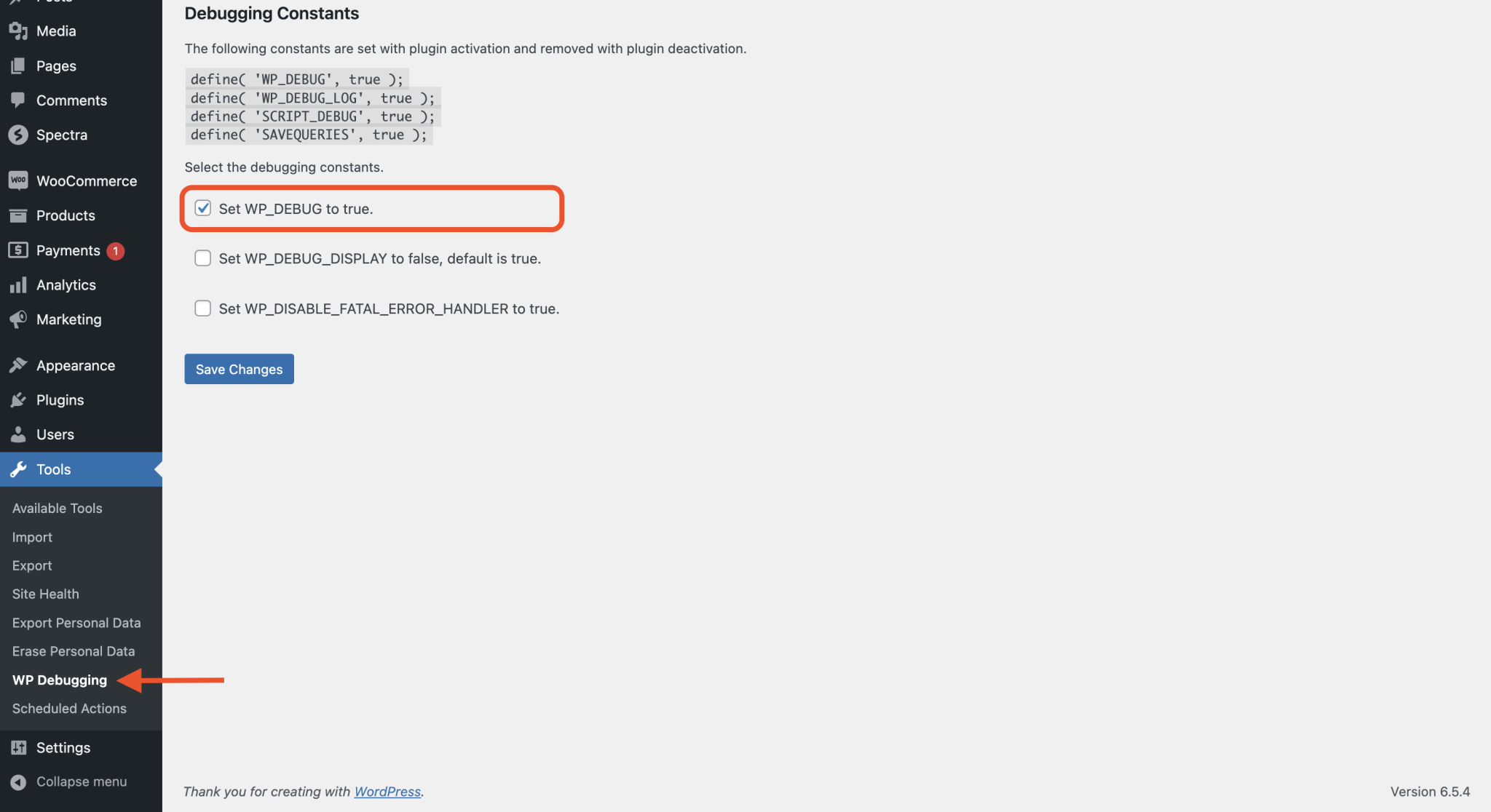 图片[3]-WordPress 调试模式开启指南：快速排查插件与主题问题