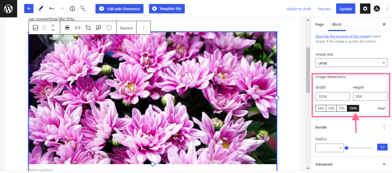 Image [6]-Astra Theme Optimisation for CLS Scores : Improving Web Page Structural Stability (Optimisation du thème pour les notes CLS : amélioration de la stabilité structurelle de la page Web)