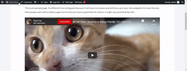 Image [7]-Astra Theme Optimisation for CLS Scores : Improving Web Page Structural Stability (Optimisation du thème pour les notes CLS : amélioration de la stabilité structurelle de la page Web)