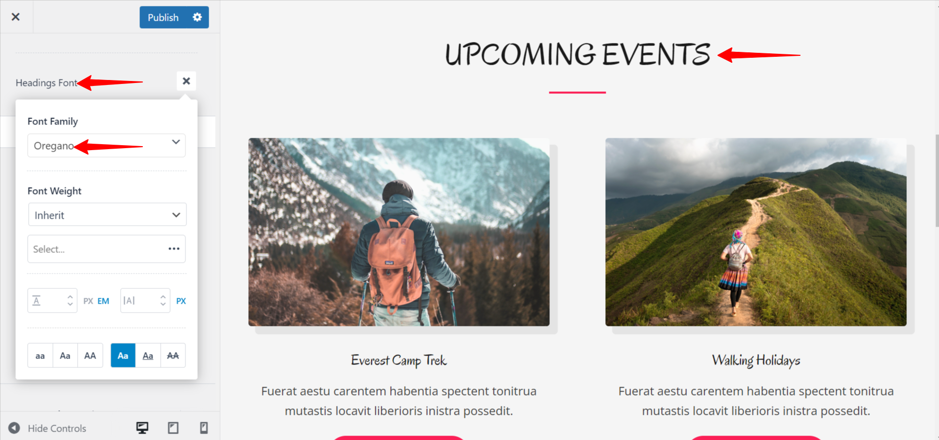 Imagen [4] - Explicación de los ajustes globales de tipografía y color del tema Astra: características clave para crear un estilo web unificado