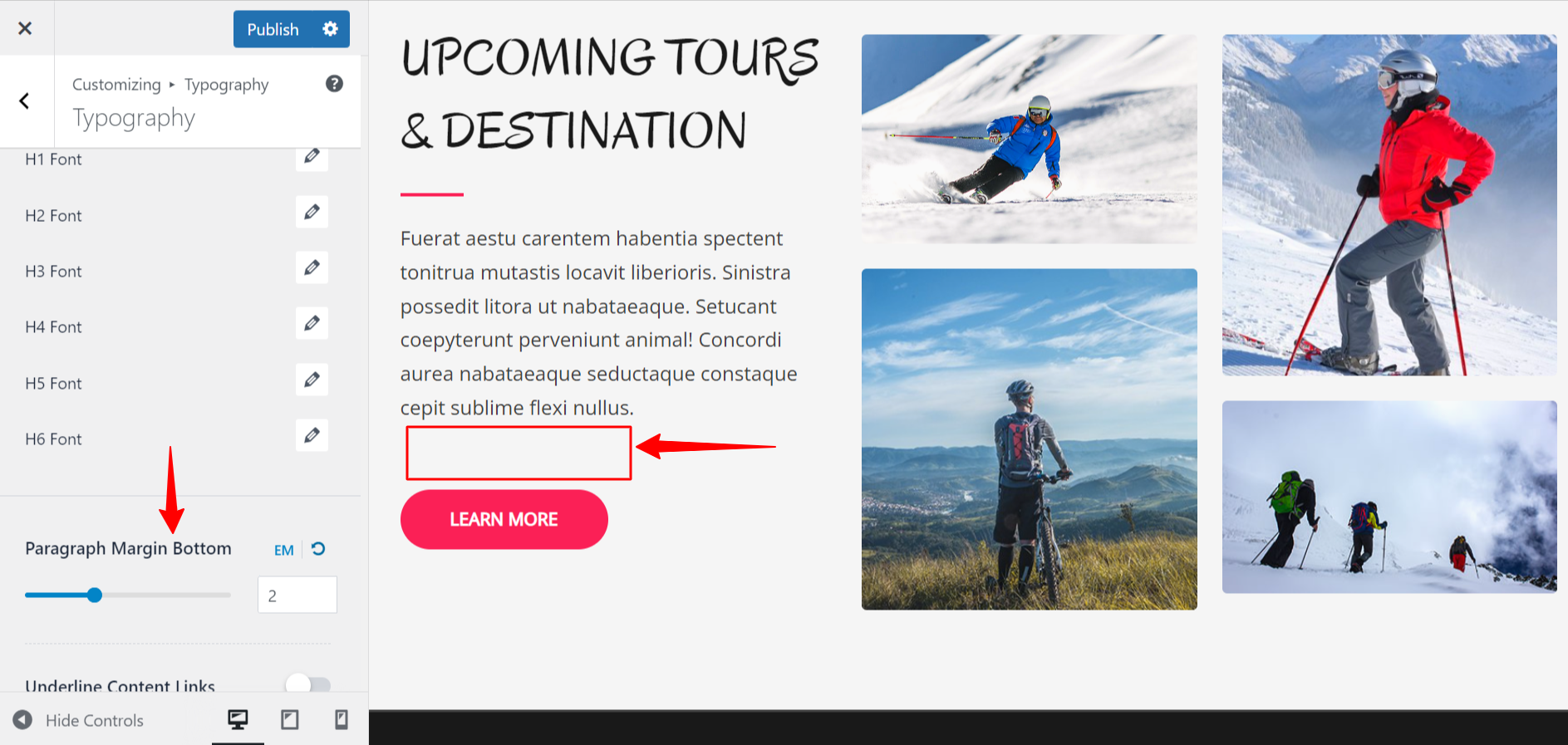 Imagen [6] - Explicación de los ajustes globales de tipografía y color del tema Astra: características clave para crear un estilo web unificado