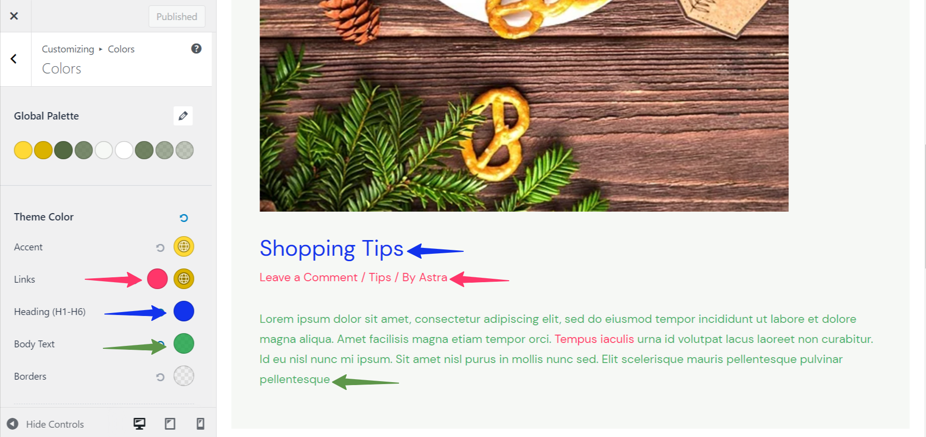 Imagen [9] - Explicación de los ajustes globales de tipografía y color del tema Astra: características clave para crear un estilo web unificado