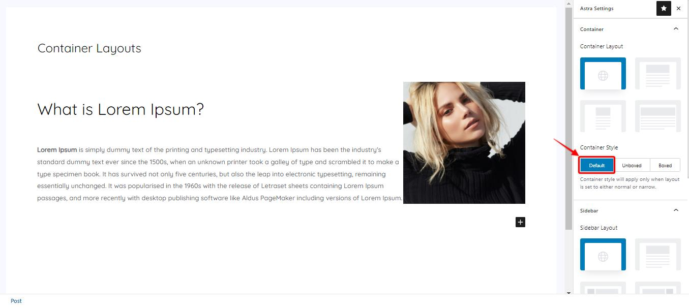 图片[4]-Astra 主题容器样式：轻松定制网站外观的全新功能