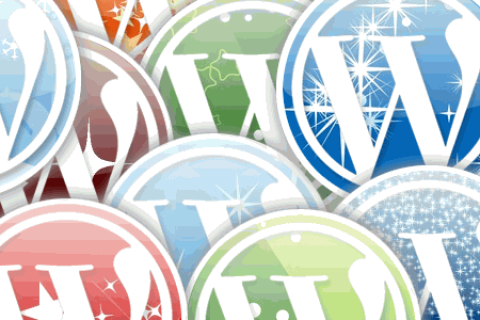 图片[2]-专业WordPress补丁：提升网站安全、性能与稳定性的必备指南