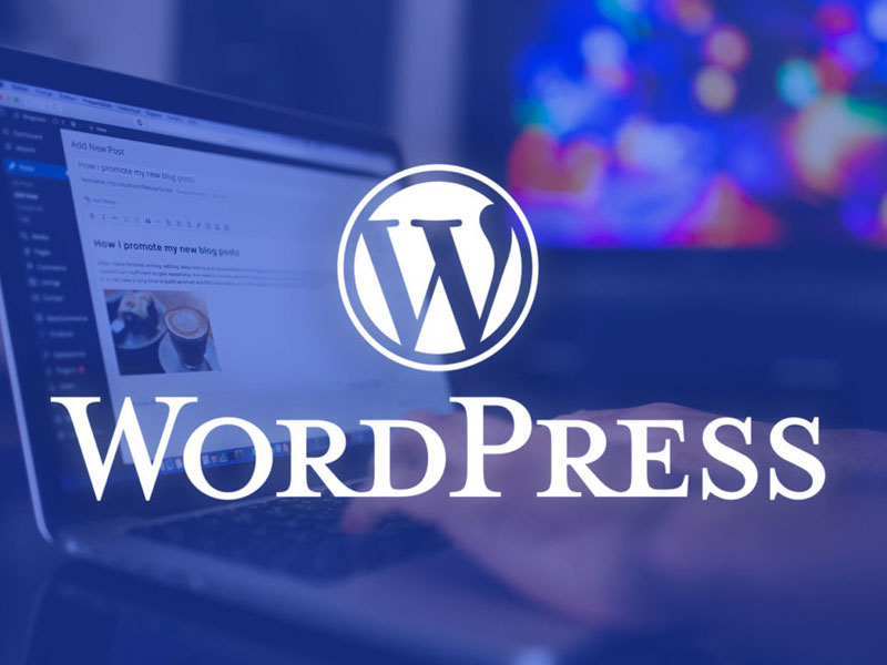 图片[3]-专业WordPress补丁：提升网站安全、性能与稳定性的必备指南