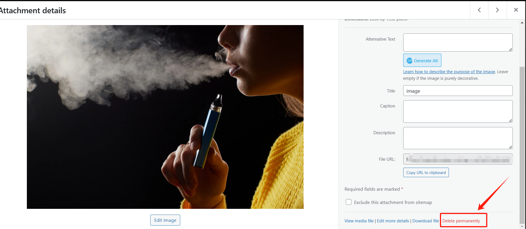 图片[3]-如何清理 WordPress 媒体库：优化和管理图片、视频及附件的最佳方法