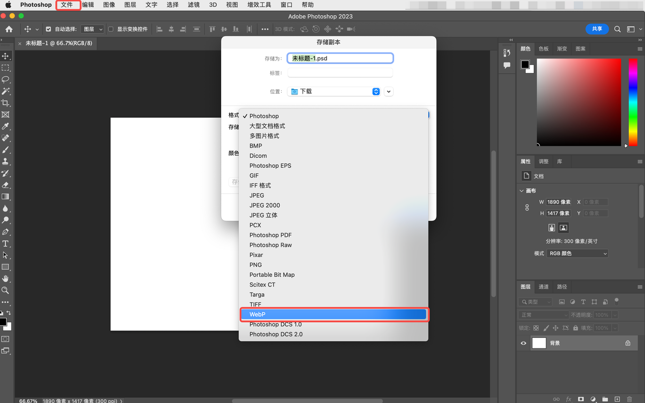 图片[9]-如何在 WordPress 中使用 WebP 图像提升网站性能与加载速度