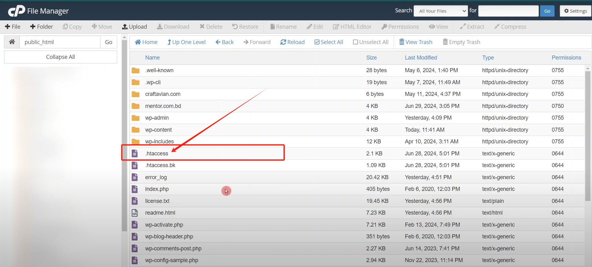 Imagen [3] - Cómo solucionar el error 500 Internal Server Error en WordPress: Guía detallada paso a paso