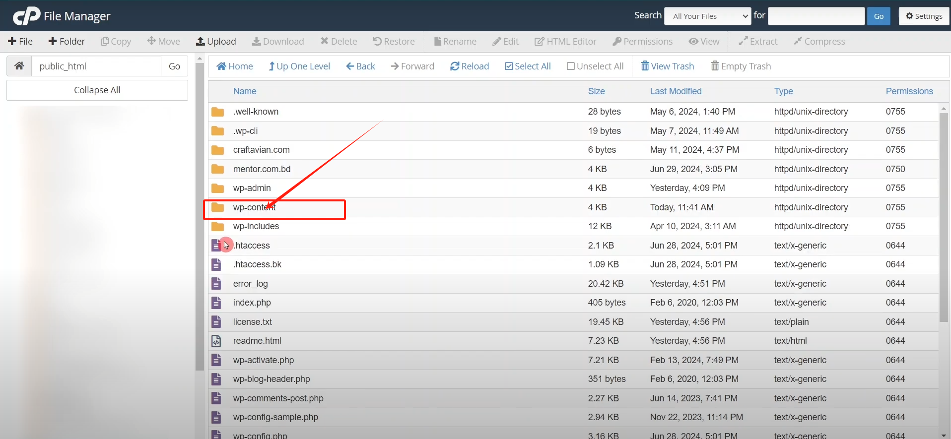 Imagen [9] - Cómo solucionar el error 500 Internal Server Error en WordPress: Guía detallada paso a paso