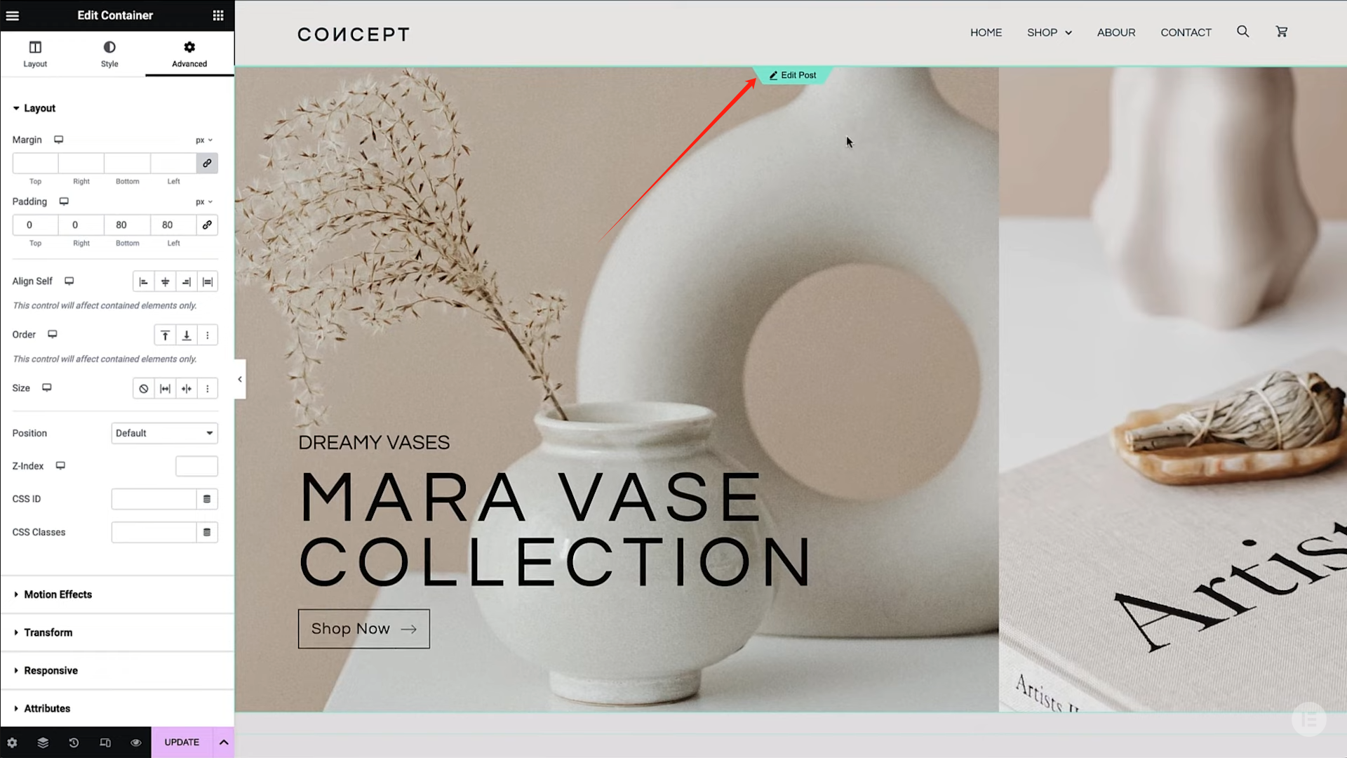 图片[19]-如何利用 Elementor 的 Loop Carousel 展示在线商店的营销活动