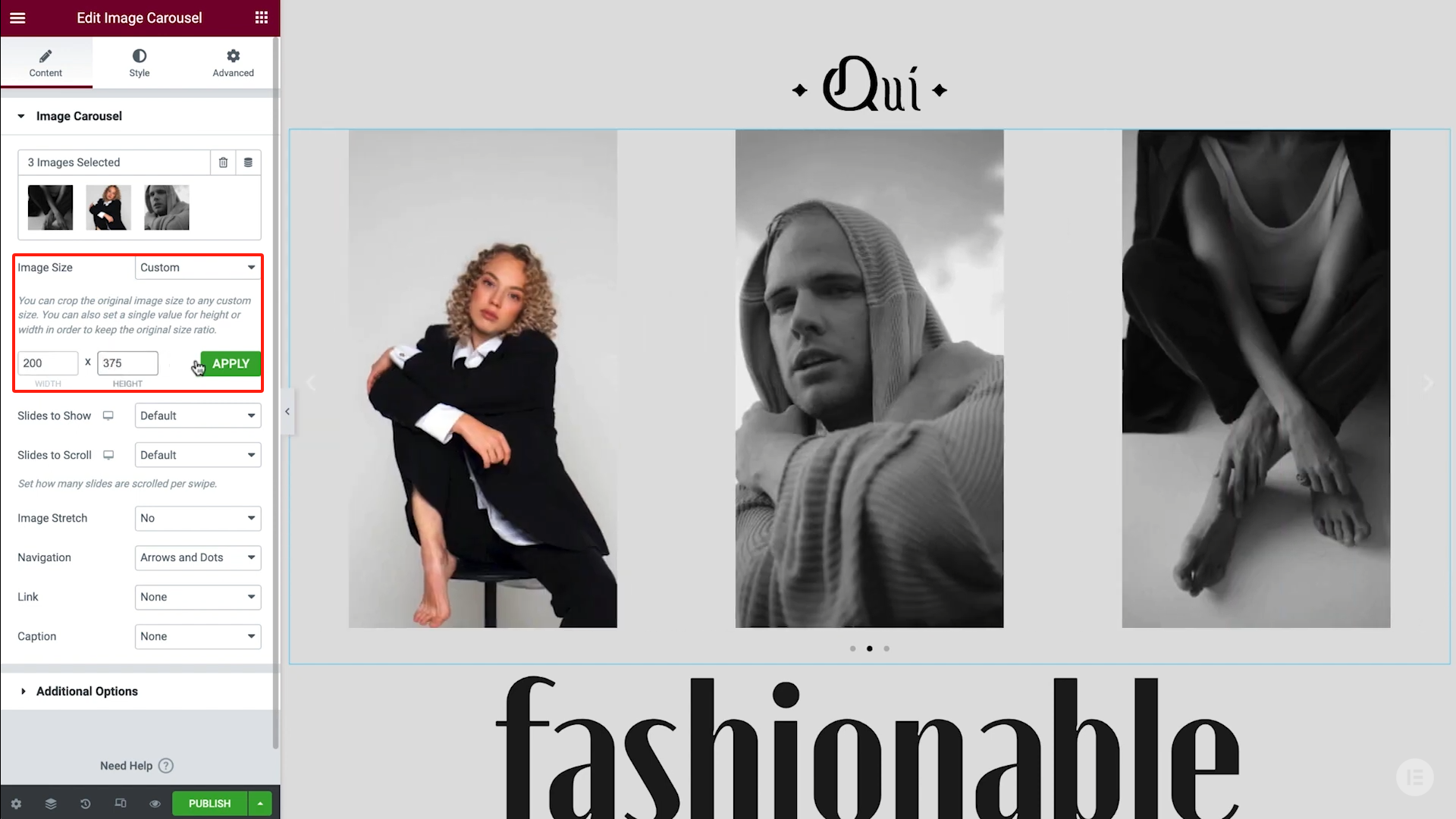 Imagen [7]-Crea asombrosos efectos de imagen parpadeante con los widgets de carrusel de imágenes de Elementor.