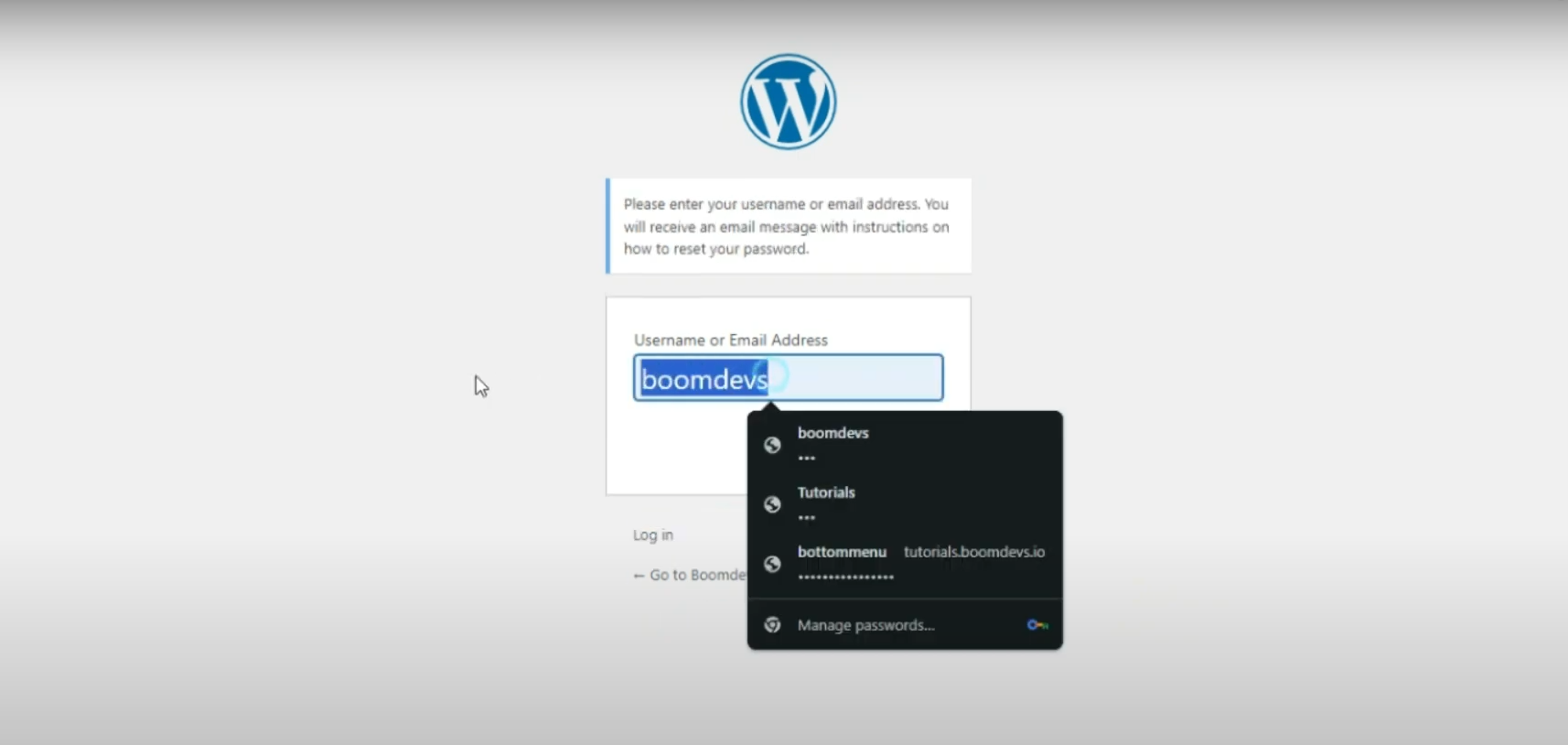 Image [13] - How to change password and username in WordPress (full tutorial)