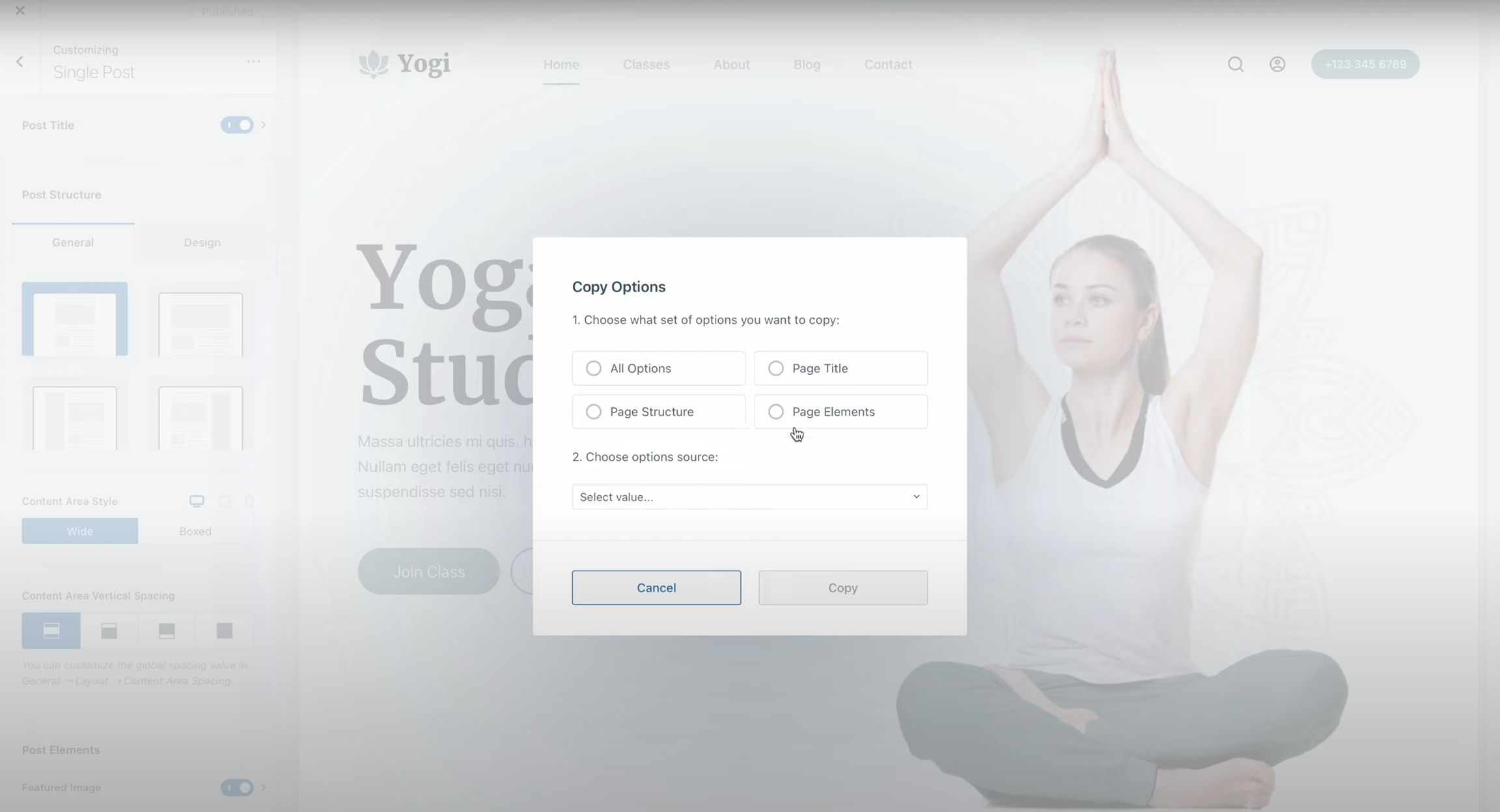 图片[5]-如何在 Blocksy 2 中使用复制选项功能实现网站设计一致性