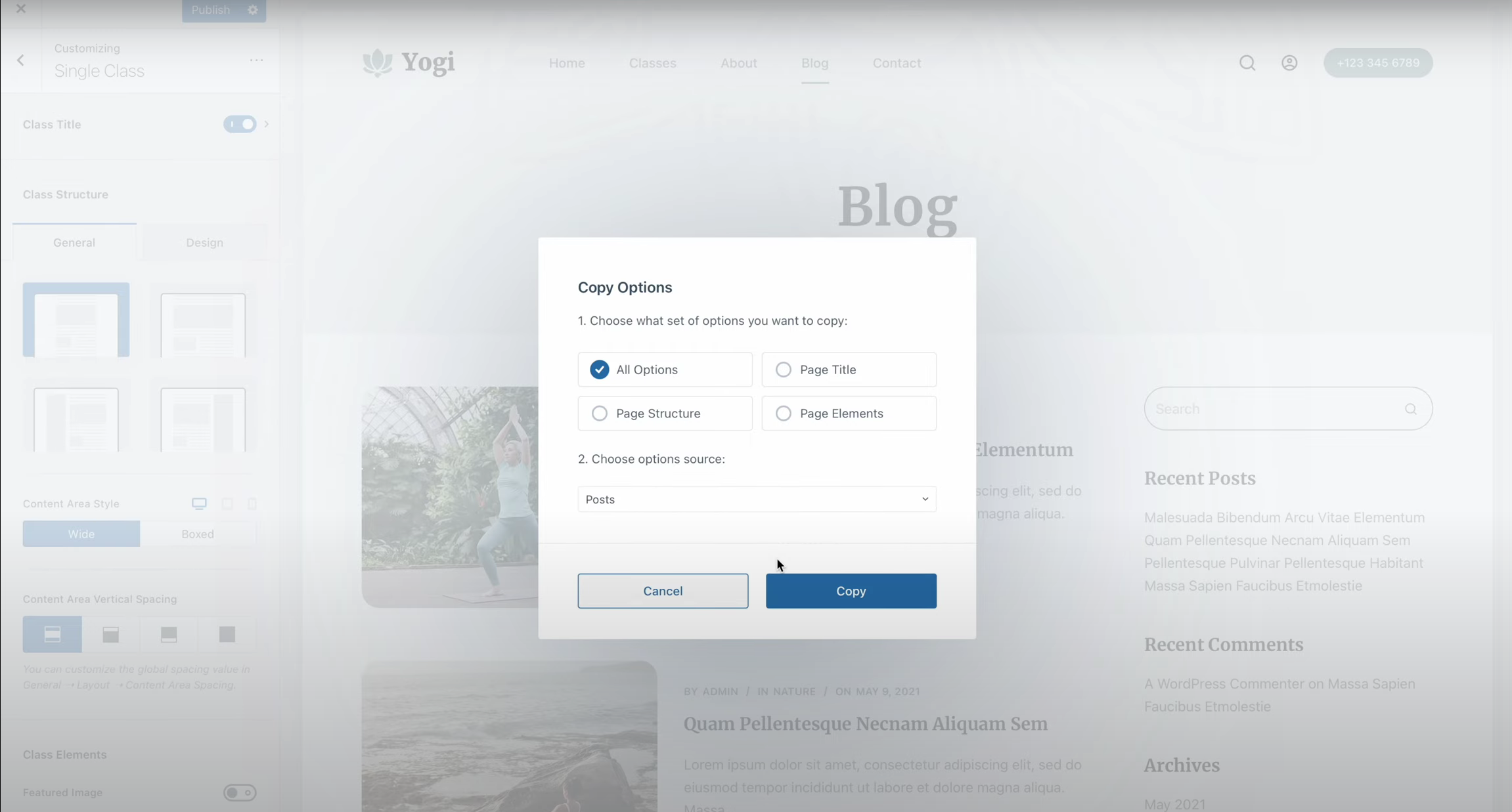 图片[8]-如何在 Blocksy 2 中使用复制选项功能实现网站设计一致性