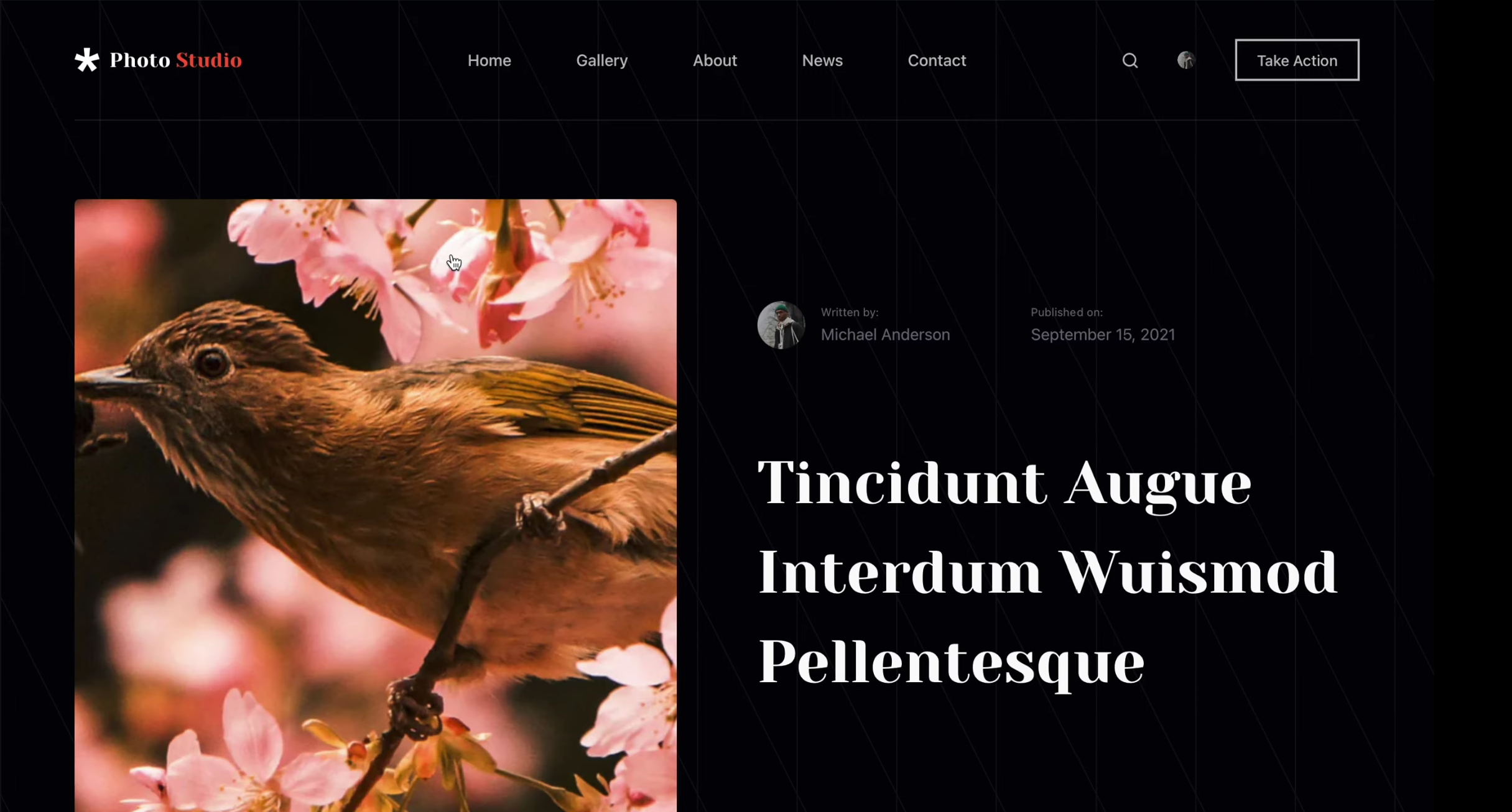Image [15]-Tutoriel Blocksy : Utiliser les blocs de contenu pour personnaliser les blocs héros et remplacer les modèles d'articles