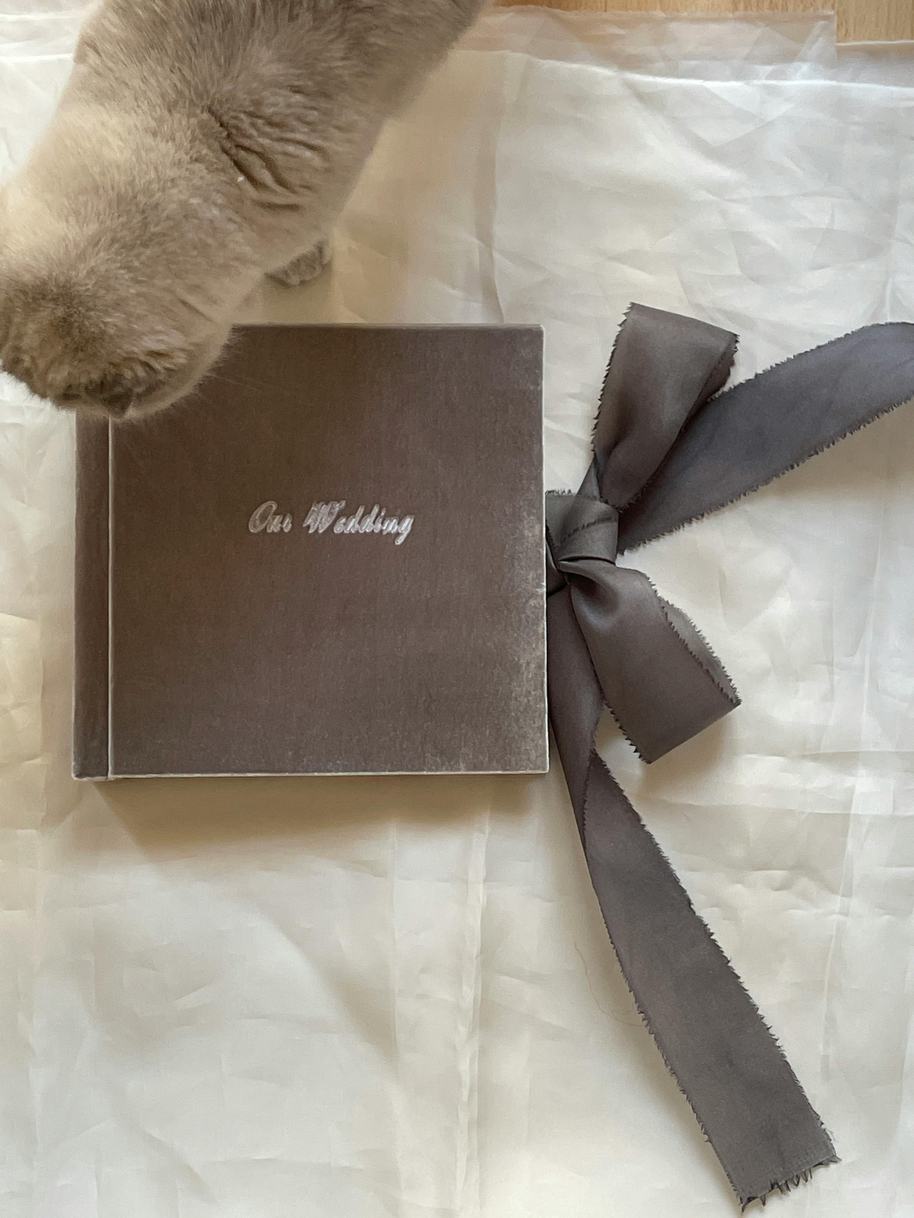 That that that that that avatar - Photon Fluctuation | Professional WordPress repair service, worldwide, rapid response