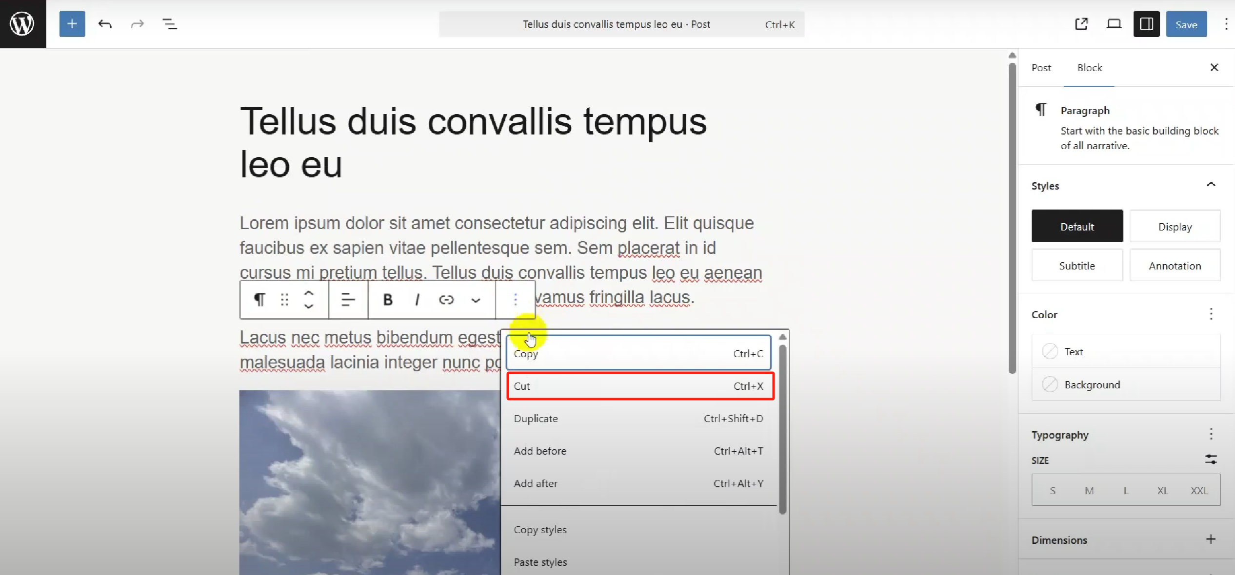 图片[13]-WordPress 6.8「Sicil」更新全面解析：样式书开放、性能飞跃、设计更自由