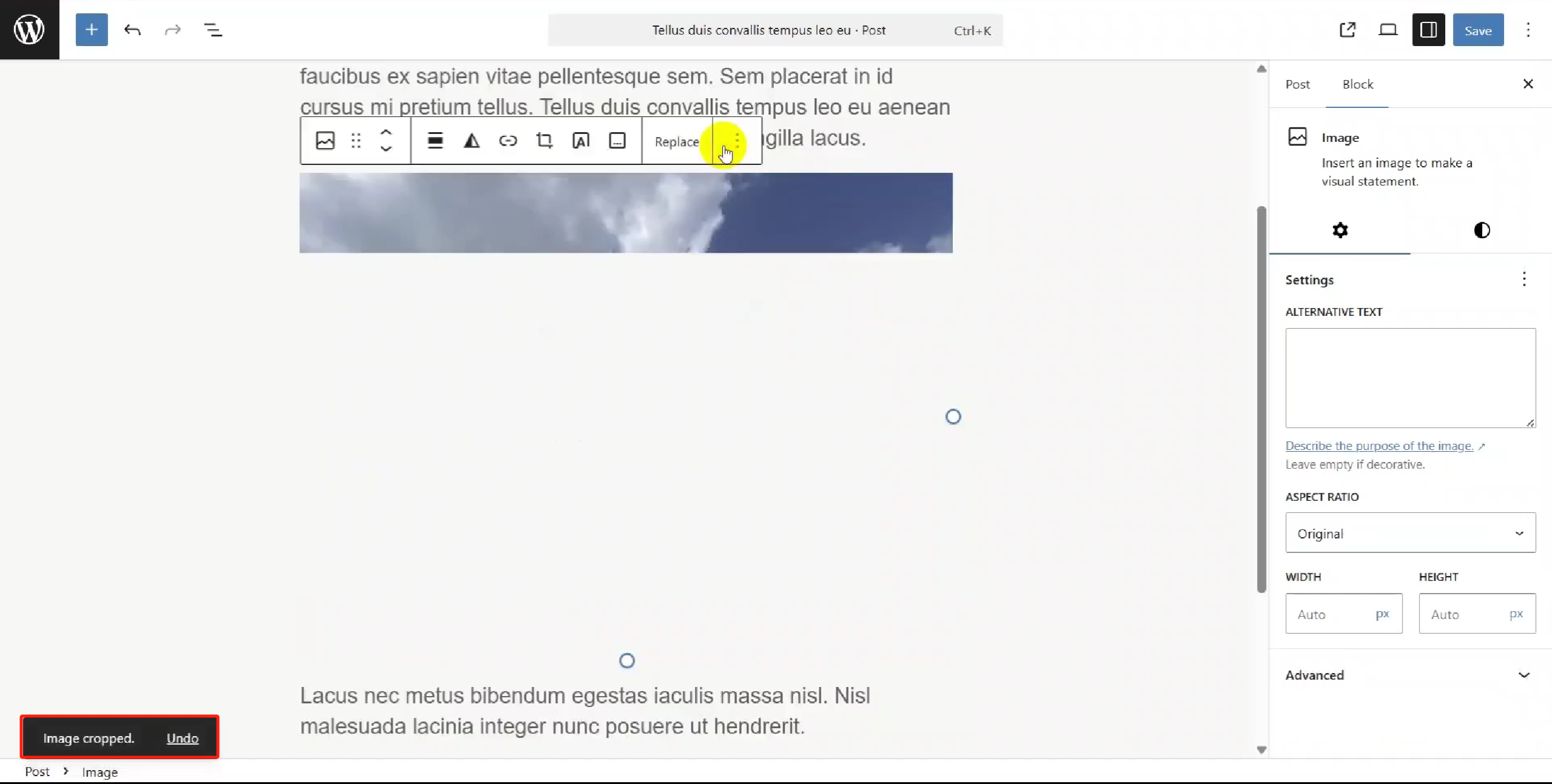 图片[14]-WordPress 6.8「Sicil」更新全面解析：样式书开放、性能飞跃、设计更自由
