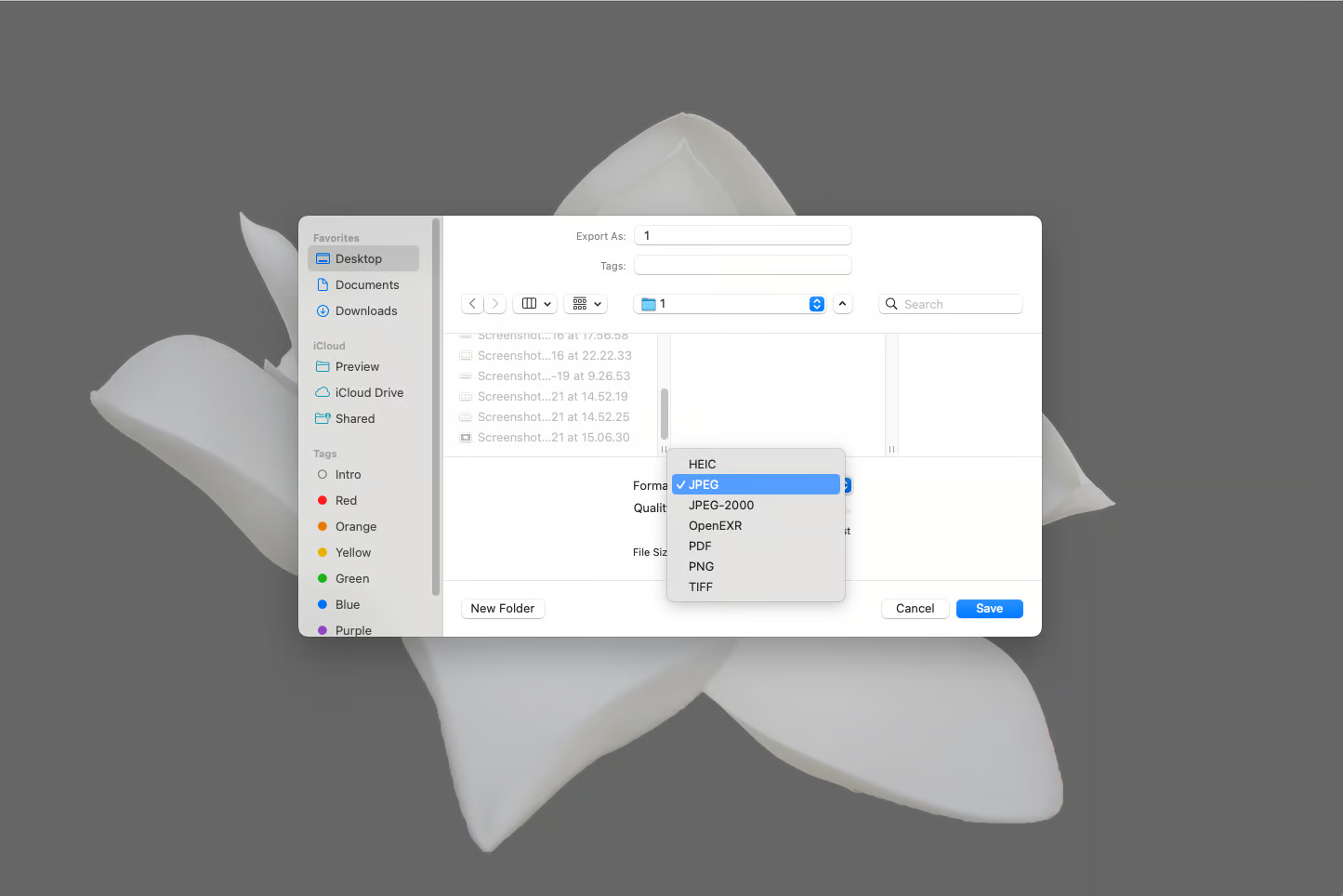图片[3]-2025 年 WordPress 图片优化指南：提升加载速度与页面表现