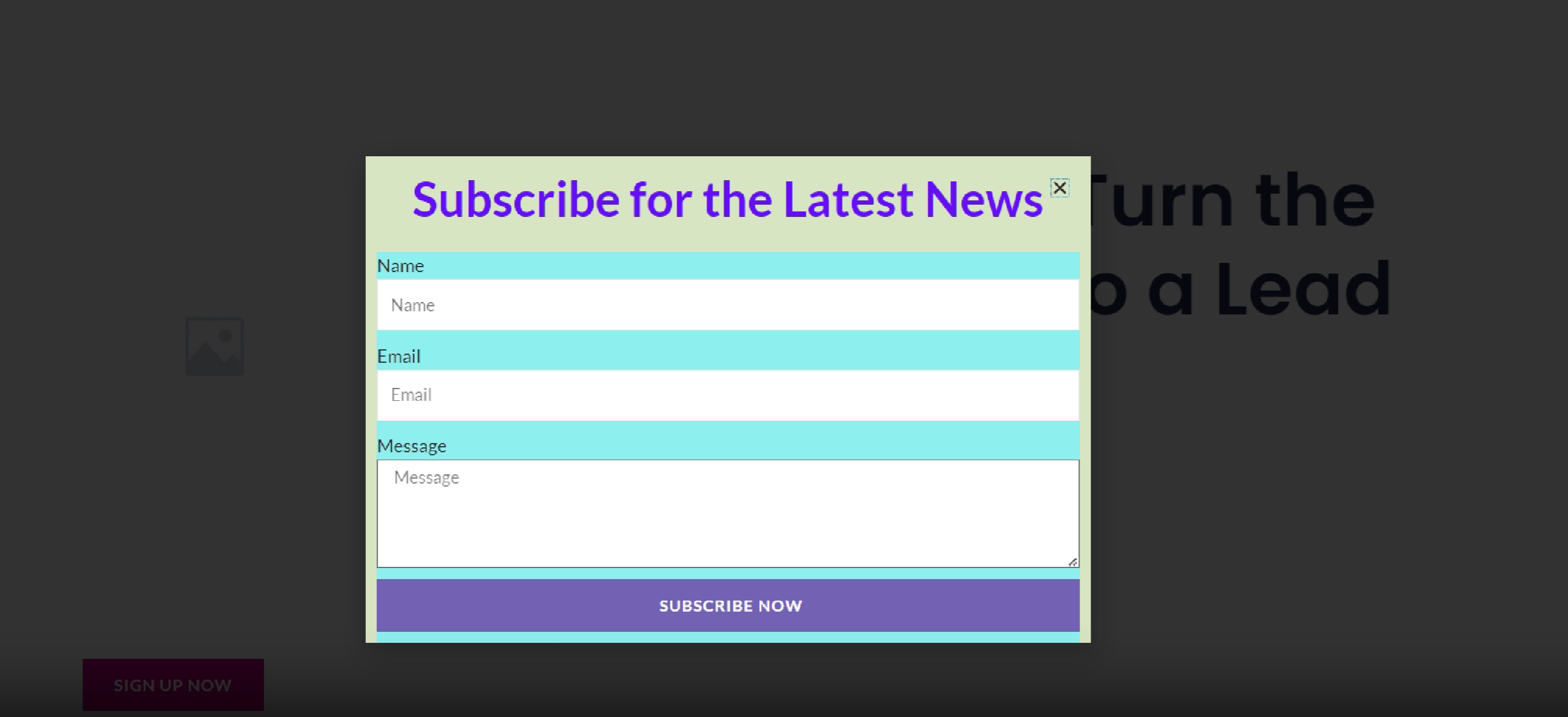 图片[17]-Elementor 点击触发订阅弹窗教程：完整设置与实用技巧