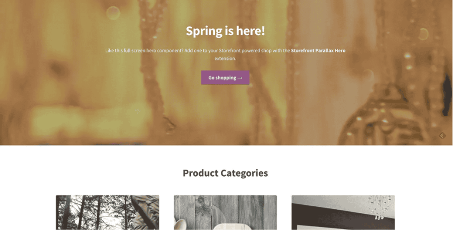 Image [4]- Best WooCommerce Theme Recommendations for 2025 and Selection Guide