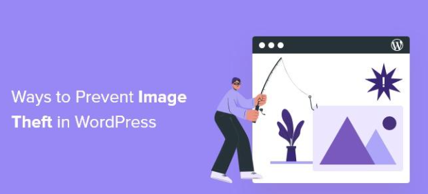 WordPressで画像保護を有効にして盗難を防ぐには?-Photonfluctuation.com|プロフェッショナルなWordPress修理サービス、ワールドワイド、迅速な対応