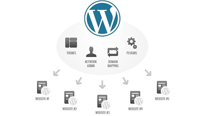 Imagen [3] - WordPress Multi-Dominio vs. Multi-Sitio: ¿Cuál es mejor para sus necesidades?