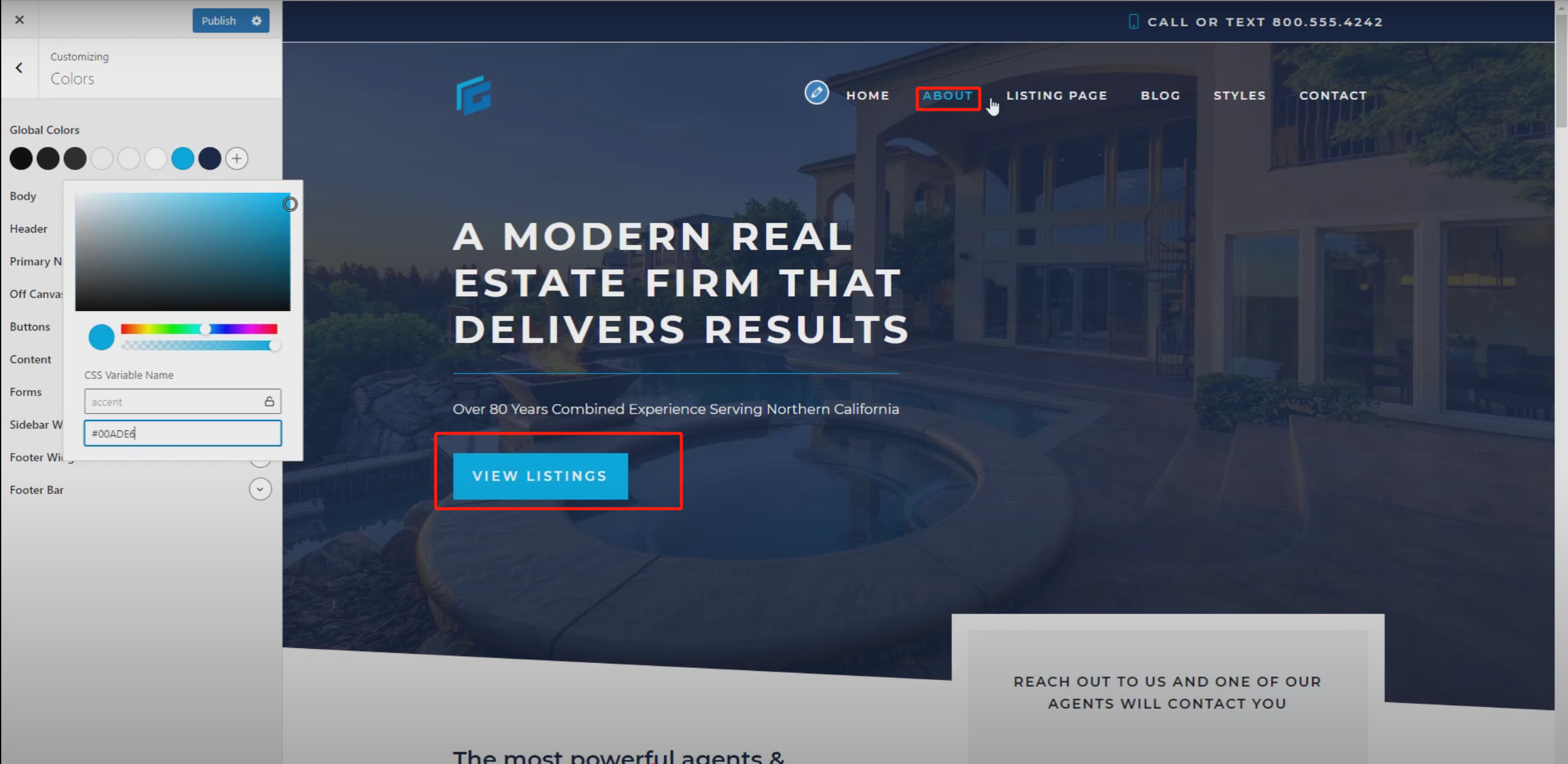 Image [5] - Ajustez rapidement la palette de couleurs de votre site Web grâce à la fonction de couleurs globales de GeneratePress
