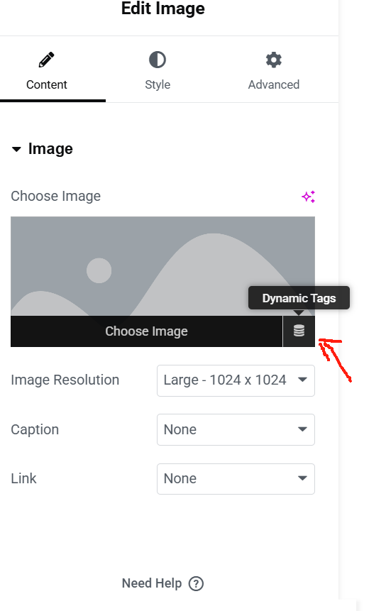 Imagen [3]-Guía de Elementor para integrar contenedores y contenido dinámico: personalizar la presentación de su sitio web