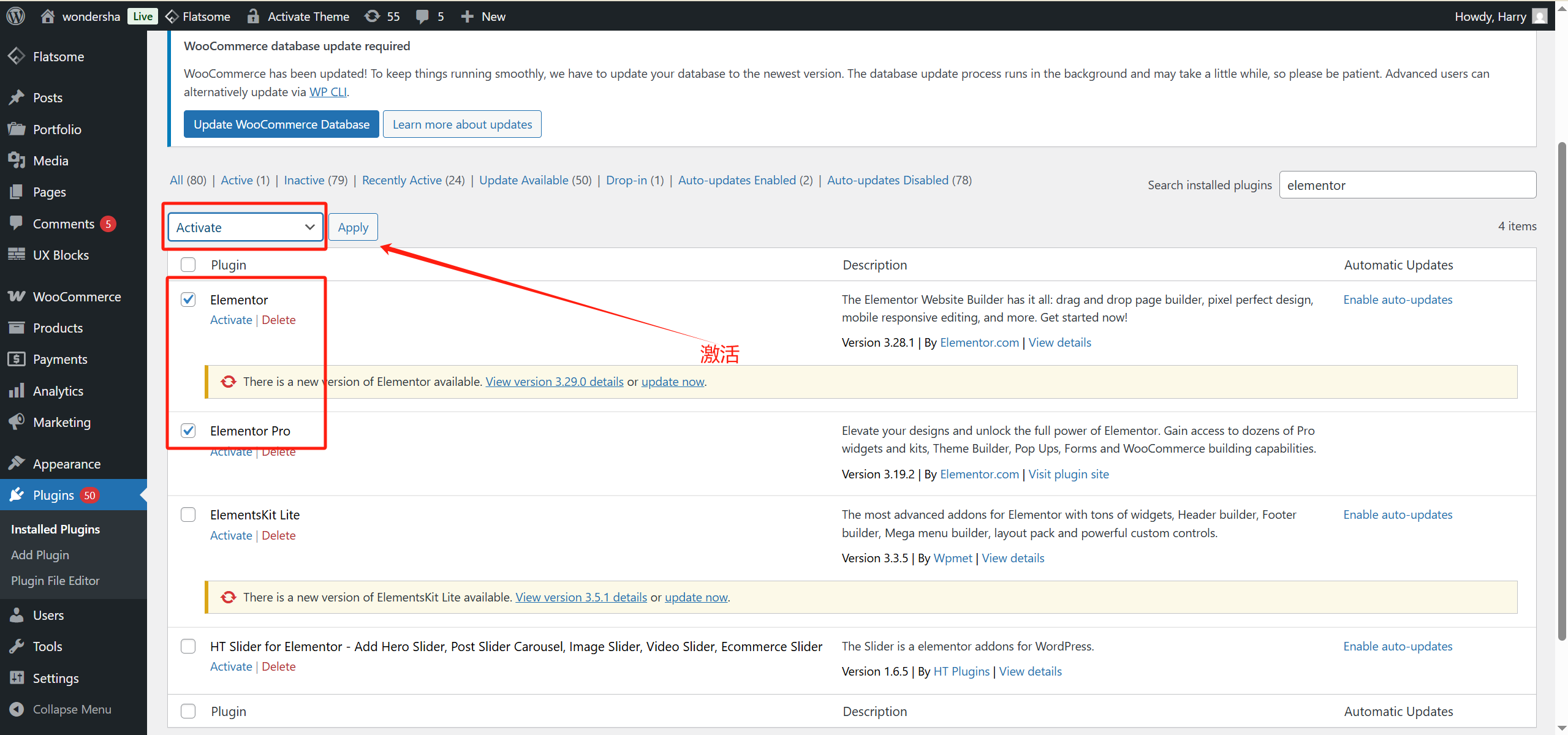 Image [5]-Elementor reports "Safe Mode" error? 3 Steps to Restore Normal Loading of Editor